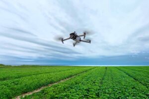 Drones for Crop Monitoring