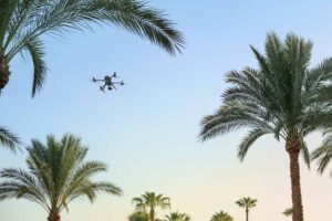 Environmental impact assessments with drones