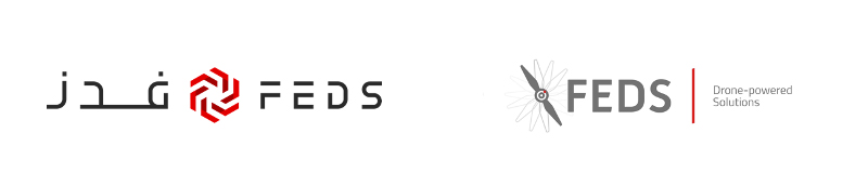 FEDS Logo Comparison